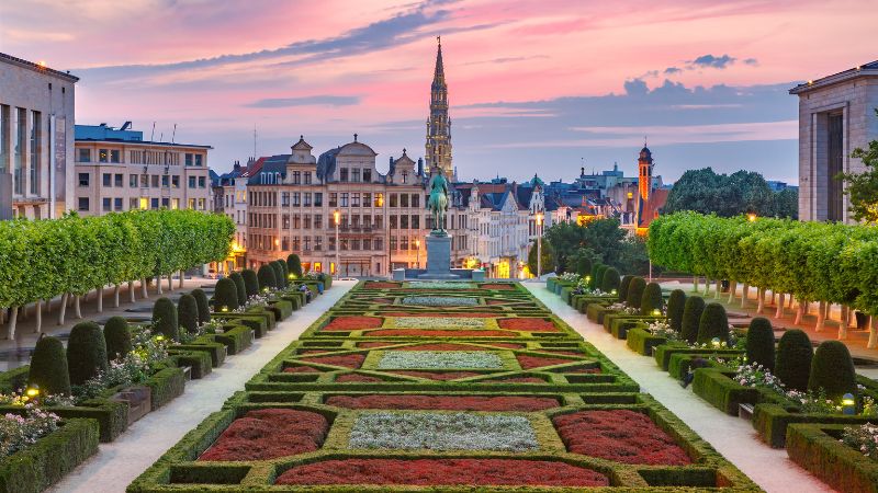 TAP Air Portugal Brussels Office in Belgium