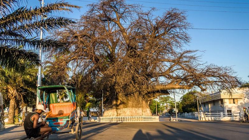 Air France Mahajanga Office in Madagascar