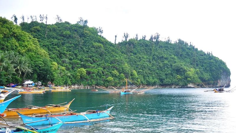 Cebu Pacific Tandag Office